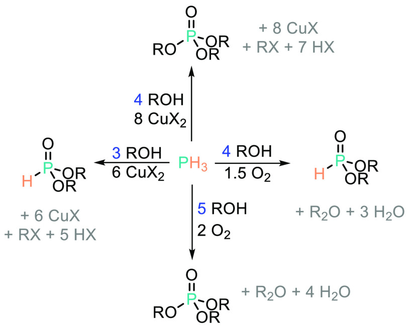 Scheme 6