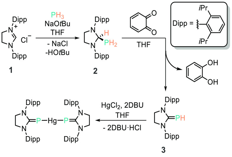 Scheme 8