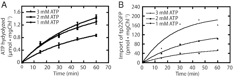 Fig. 3.