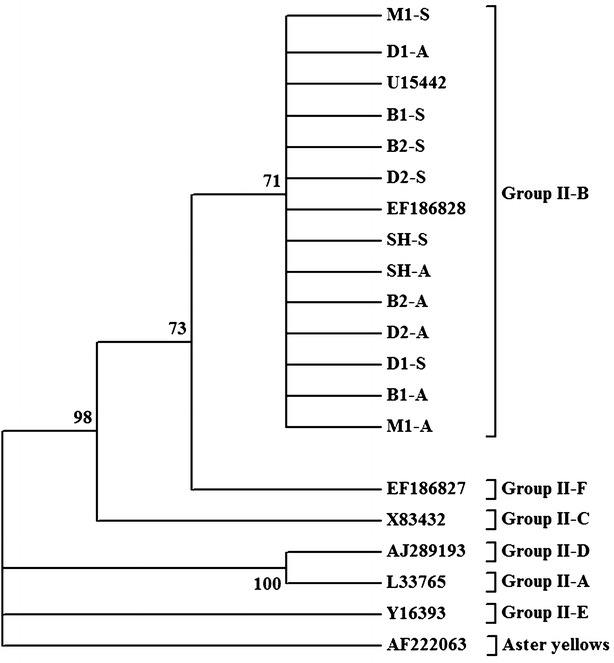 Fig. 2