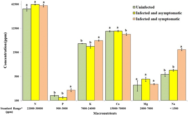 Fig. 3