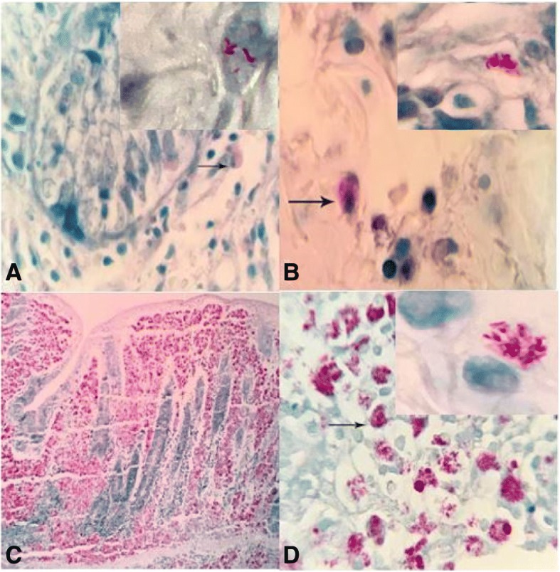 Fig. 3