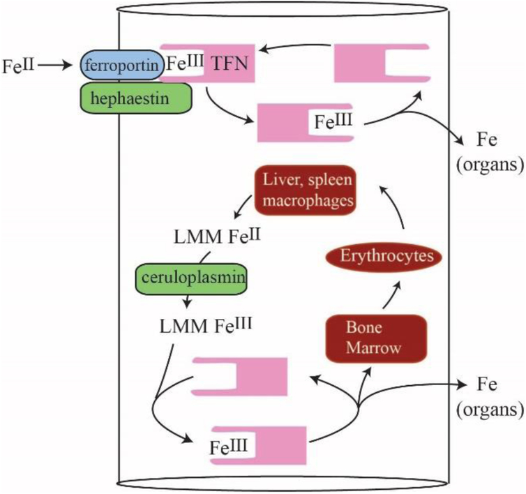 Figure 7.