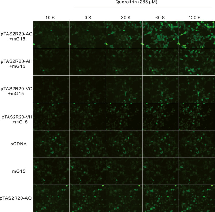 FIGURE 4