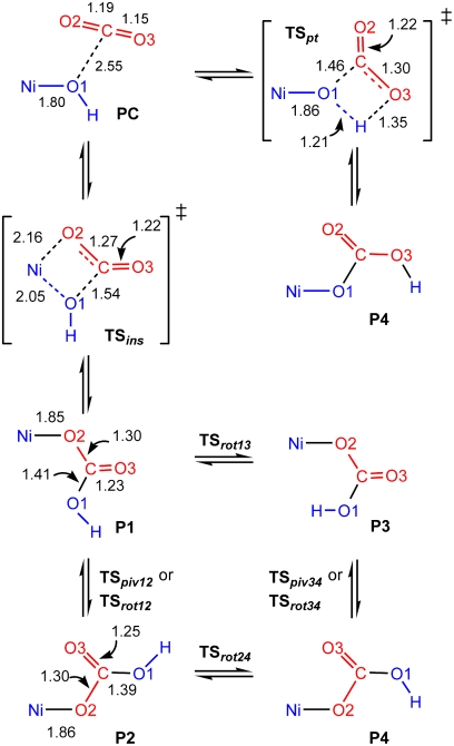 Scheme 1.