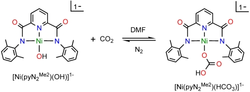 graphic file with name pnas.1017430108figX1.jpg