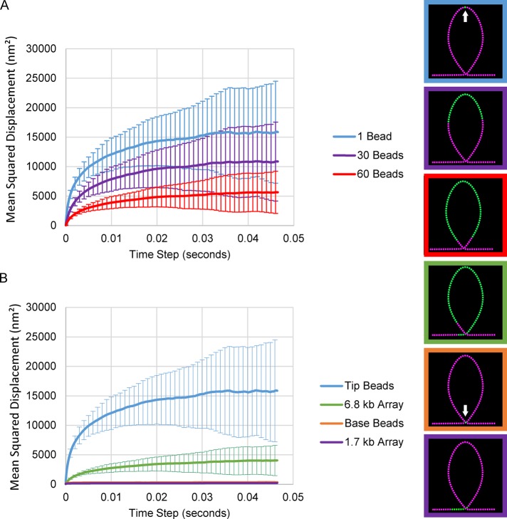 FIGURE 5: