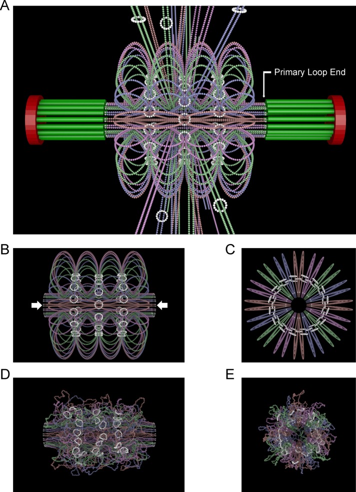 FIGURE 1: