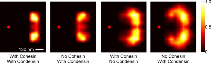 FIGURE 7: