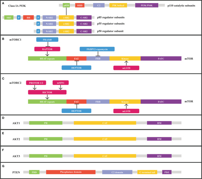 Figure 2