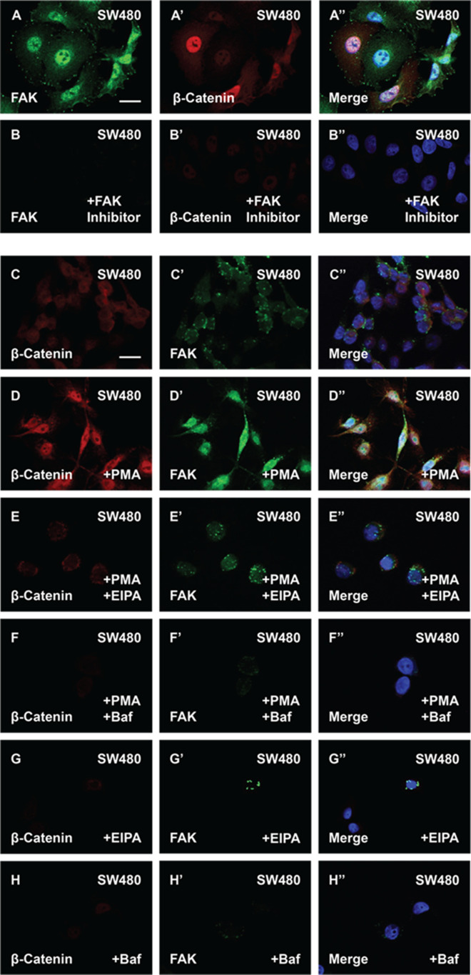 Figure 6—figure supplement 1.