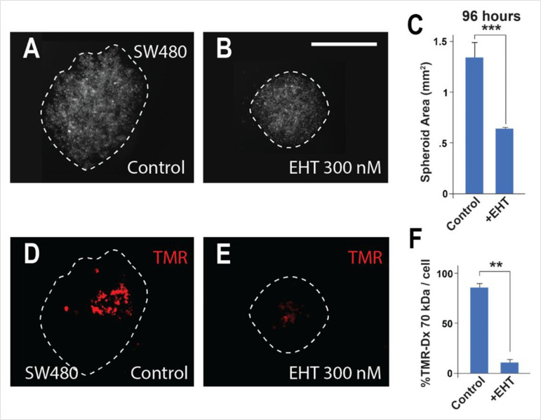 Figure 4—figure supplement 1.