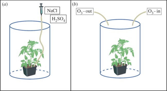 Figure 2.