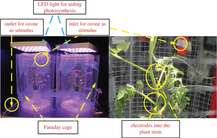 Figure 1.