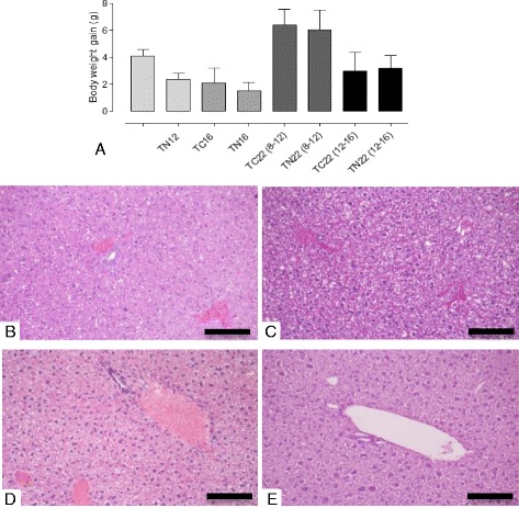 Fig. 10