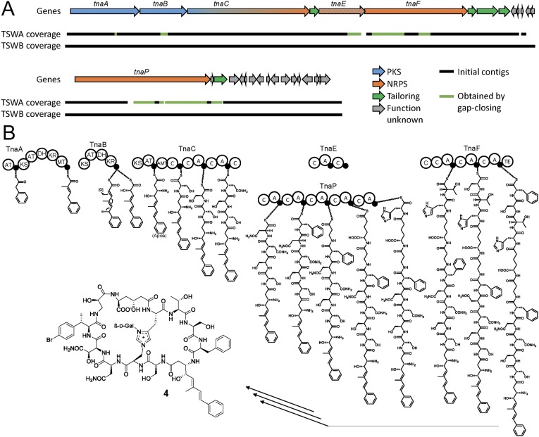 Fig. 2.