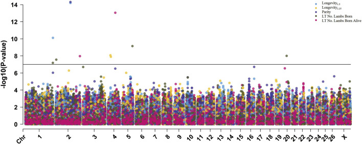 FIGURE 4