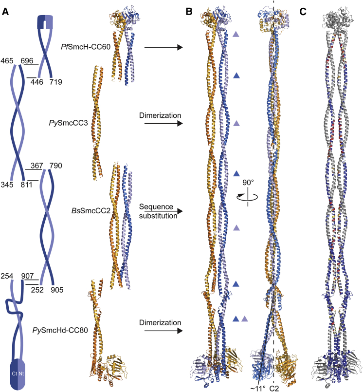 Figure 4