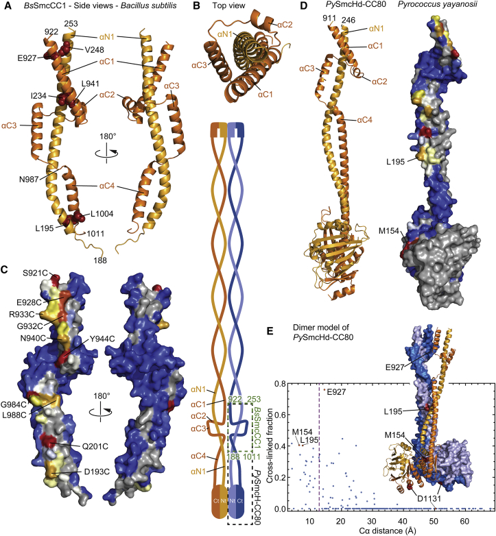 Figure 3