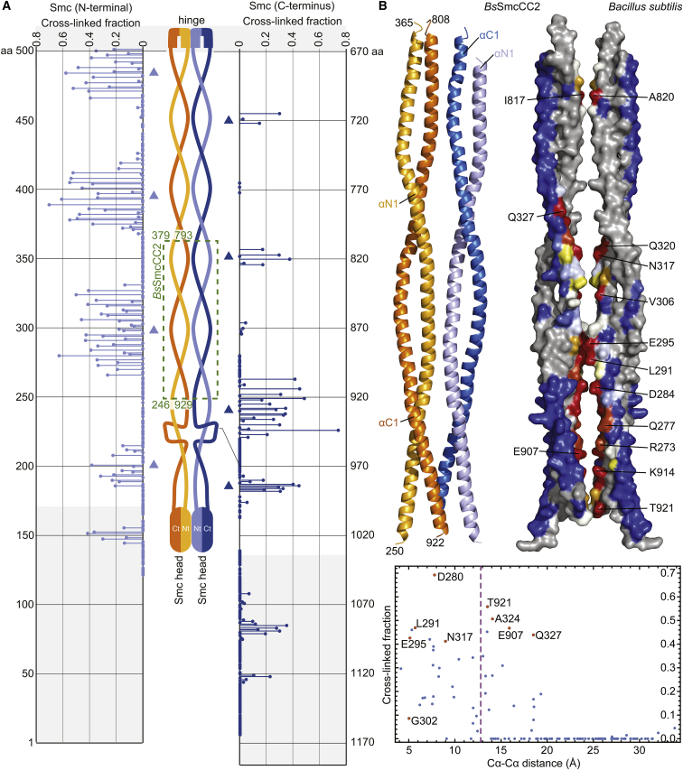 Figure 2