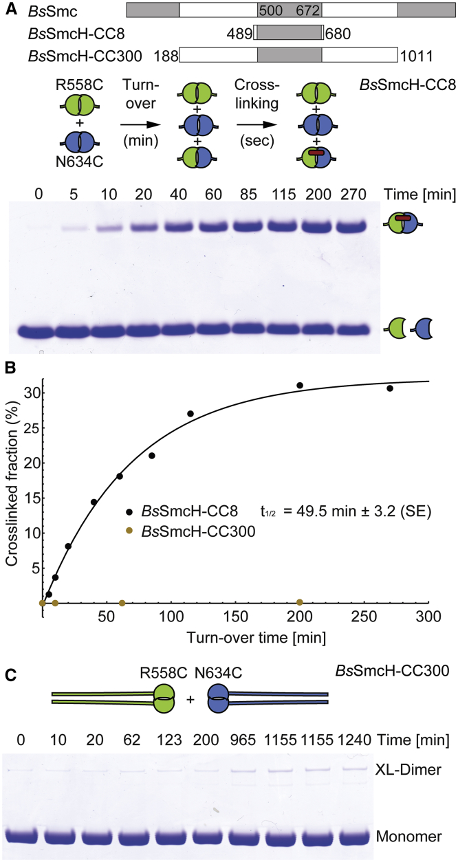 Figure 1