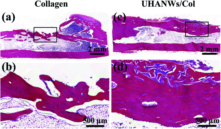 Fig. 14