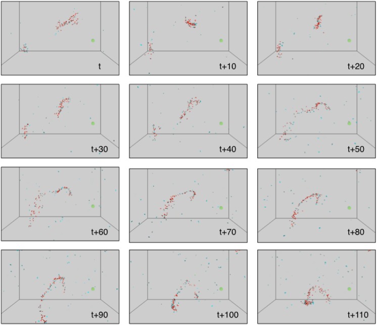 Emergence of Swarming Behavior: Foraging Agents Evolve Collective ...