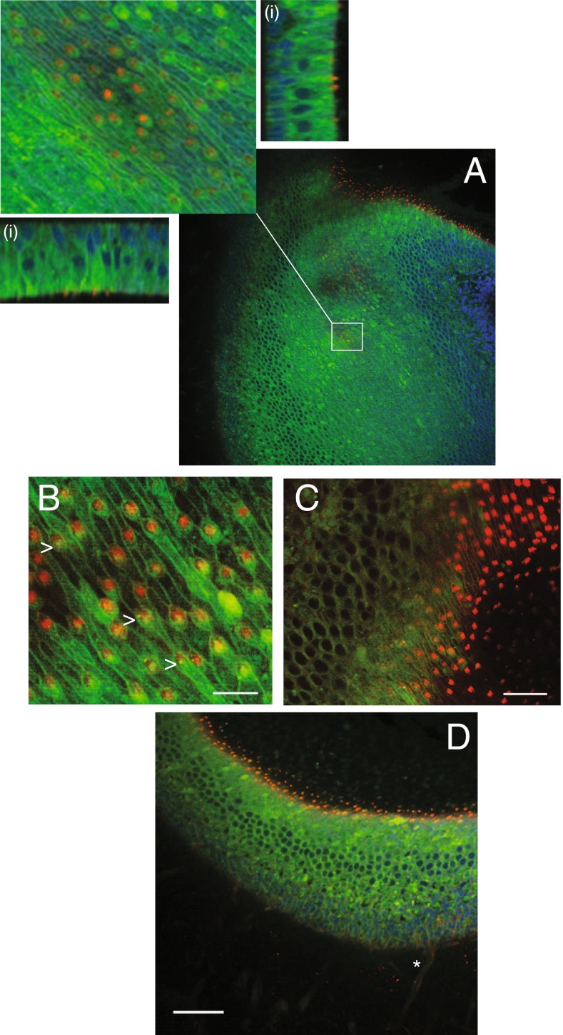 FIG. 3