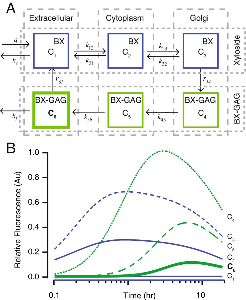 Fig. 8