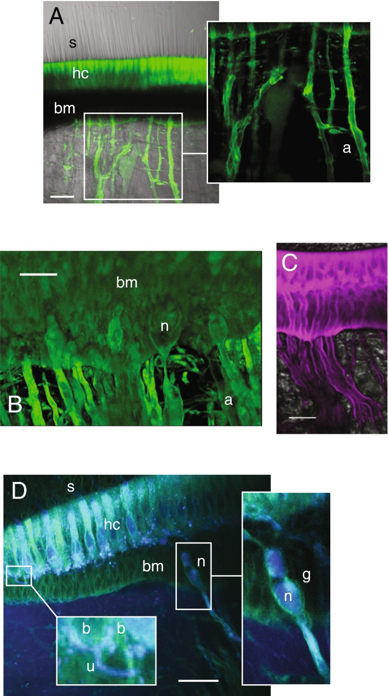 FIG. 4