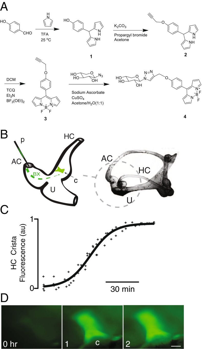 FIG. 1