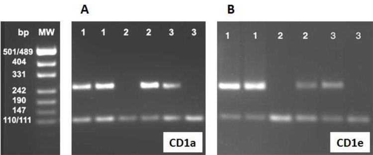 Fig. 1: