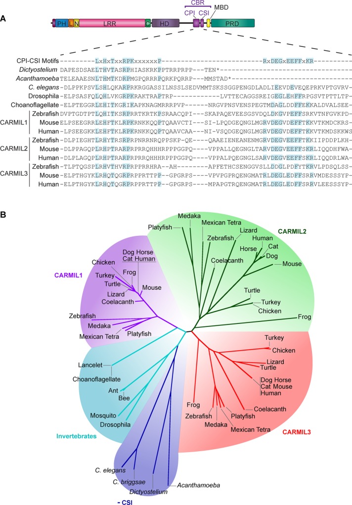 FIGURE 1: