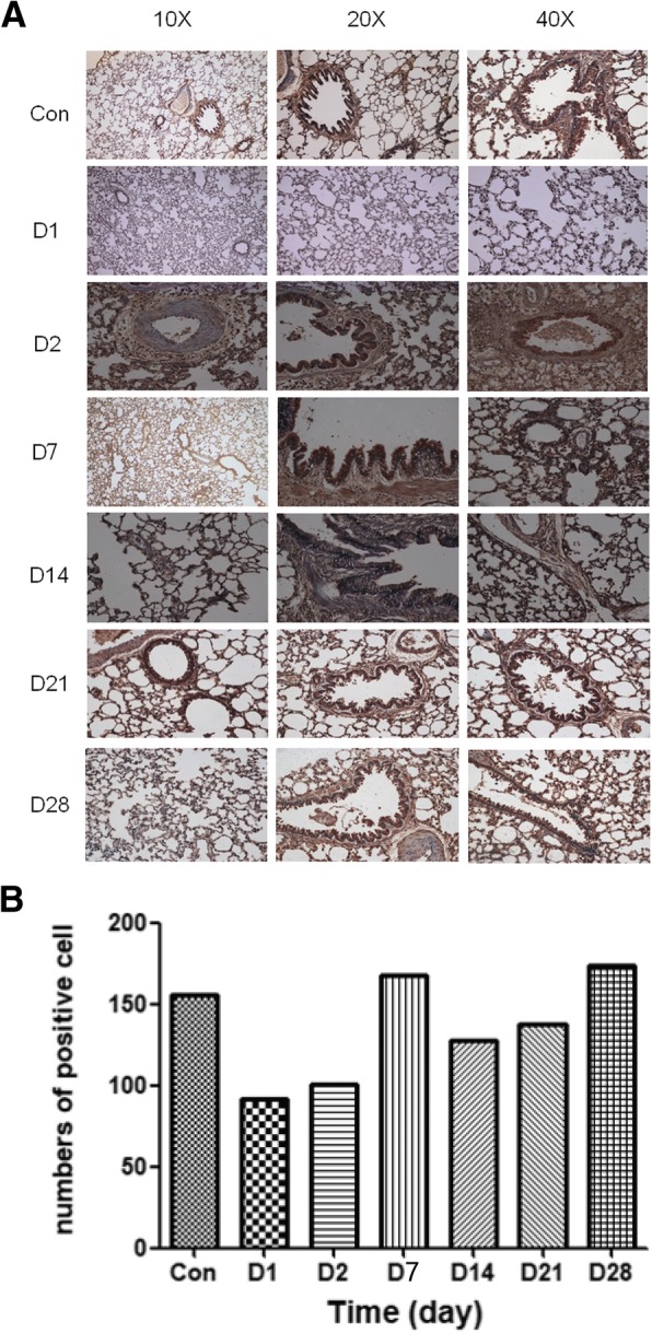 Fig. 11