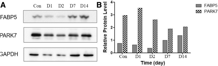 Fig. 12