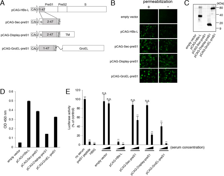 FIG 1