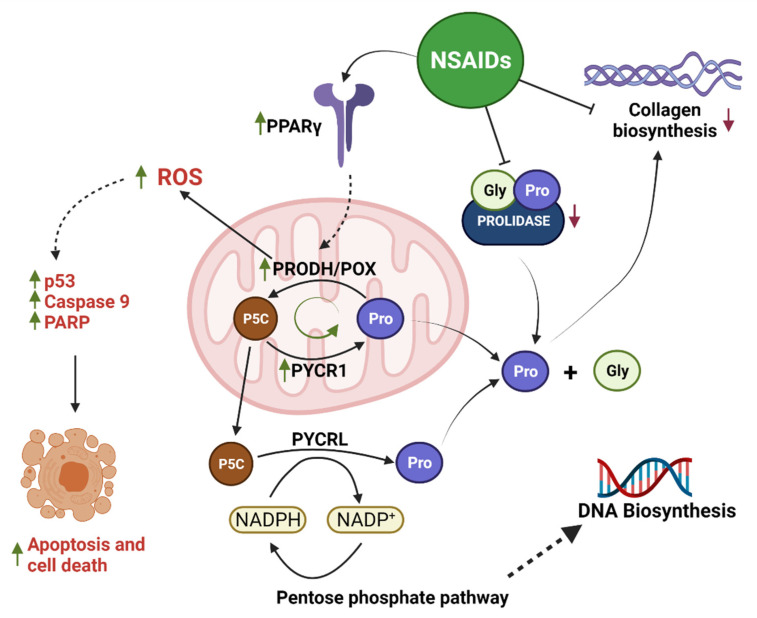 Figure 14