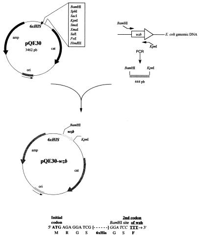 FIG. 5