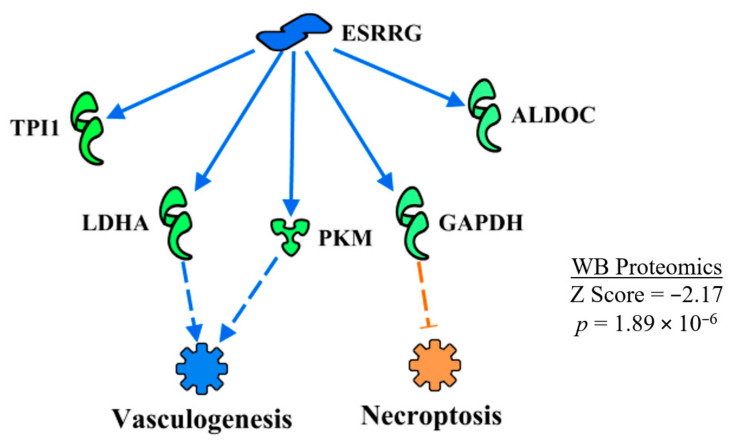 Figure 12