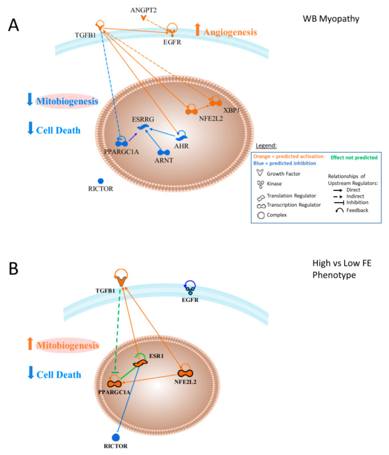 Figure 13