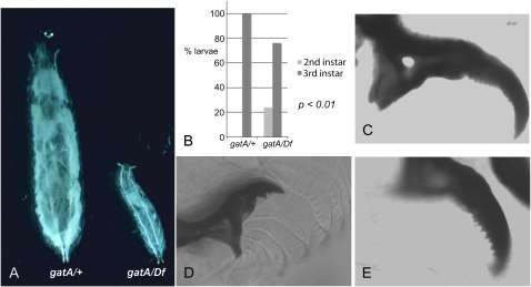 Figure 1.—