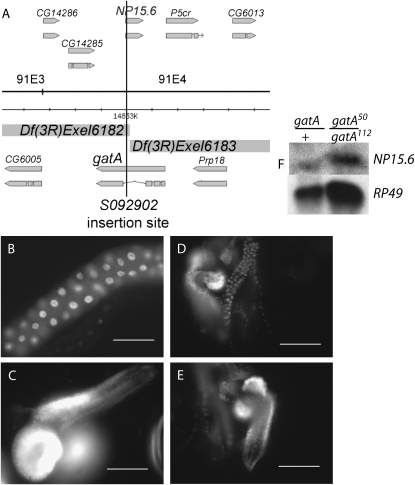 Figure 4.—