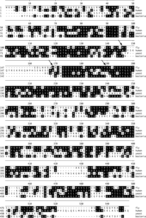 Figure 5.—