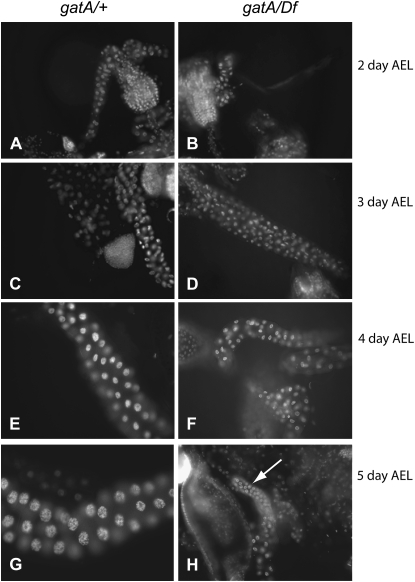 Figure 3.—