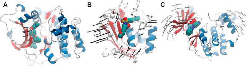 Figure 22