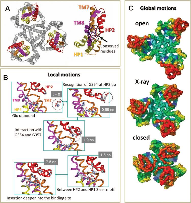 Figure 18