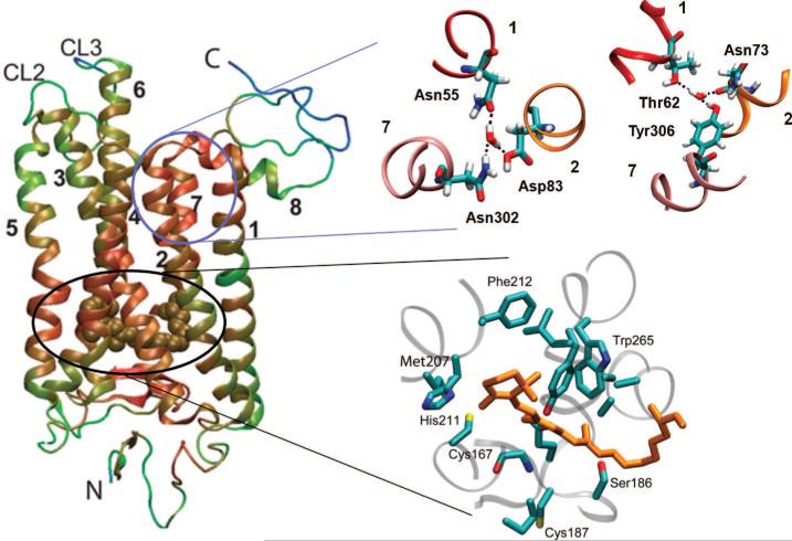 Figure 21