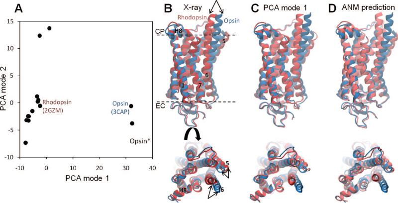 Figure 16