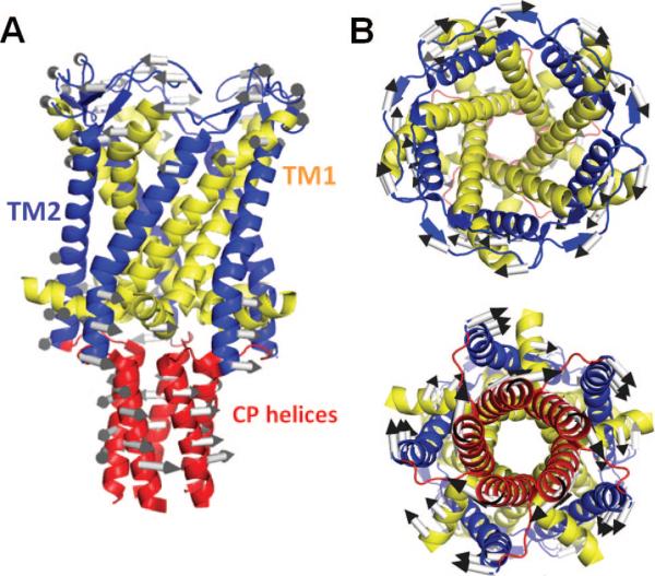 Figure 12