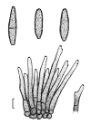 Fig. 23.